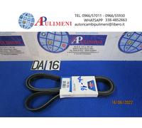 7PK2255 CINGHIA SERVIZI POLI-V PER HYUNDAI H1 SORENTO RANGE ROVER I DISCOVERY II