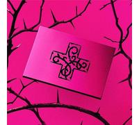 7th Year: A Moment of Stillness in the Thorns (Anxiety Version)