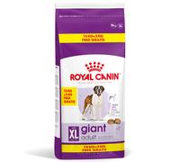 8 + 1 kg / 15 + 3 kg gratis! 9 kg / 18 kg Royal Canin Size Crocchette per cane - Giant Adult (15 kg + 3 kg)