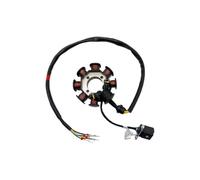 8/12 Poli Volano Magneto Rotore Statore Bobina di Accensione Compatibile Con ZS174MN-3 CBS300 ZS174MN-5 NB300 Parti del Generatore Del Motociclo(8-Poles Stator)