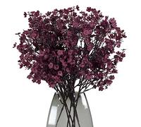 8 Bundle Babys Respiro (Borgogna)