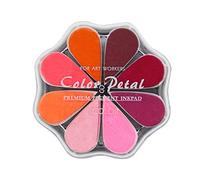 8 Colori Craft Rainbow Finger Ink Pads Timbri, Piccoli tamponi di Gomma per timbri di Inchiostro, Pigment Petal Point Option Pad, Lavabili, per la creazione di Biglietti, Scrapbooking, Pittura per