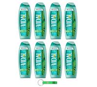 8 gel doccia Vidal Bagnodoccia/schiuma doccia con muschio bianco 250 ml + portachiavi Beni Culinari gratuito