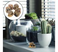 8 Pcs Micro Casa Da Giardino Delle Fate Statuina Vintage House Ornament