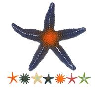 8 Pcs Modelli Di Animali Oceanici Marini Arredamento Tema Spiaggia