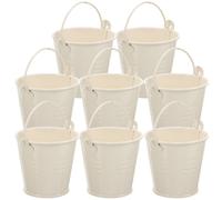 8 Pcs Piccoli Secchi Di Metallo Fioriera in Mini Secchio Ferro Secchielli
