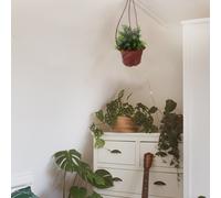 8 Pcs Portavasi Da Esterno Appendere Balcone Pianta Contenitore Per Piante