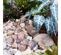 8 Pezzi di Rocce di Schiuma per Il Paesaggio in Pietra Nella Comunità