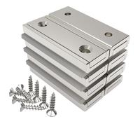 8 Pezzi Magneti Rettangolari 20 Kg Forza 40 X 13,5 X 5 Mm Con Foro Svasato