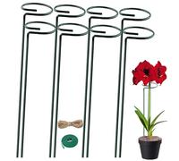 8 Pezzi Pali di Supporto per Piante, 40CM Paletto di Supporto a Stelo Singolo Diametro 6CM Anello di Supporto per Gabbia per Piante Con Nastro Verde e Corda Di Iuta per Piante e Fiori