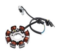 8 POLI STATORE VOLANO PER SUZUKI SHOGUN RR 125 SHOGUN 125 RR FD 125 H7