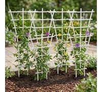 8 pz Traliccio per Piante in Plastica Bianca 14,8 cm x 24,5 cm per Pomodori Peas