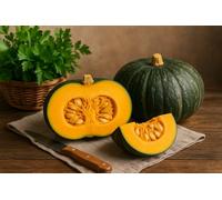 8 semi da seminare biologici - Il Attico d'Abondance - Zucca Zucca Verde Kabocha - cucurbita Maxima