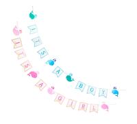 8 Set Bandierine It'S A Girl It'S A Boy Per Festa