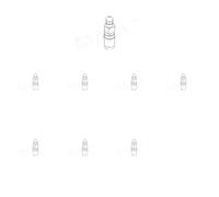 8 x Bicchiere punteria valvole TOPRAN per BMW 3 E30, 3 E36, 3 E46, 5 E34