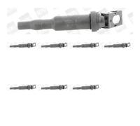8 x Bobina d'accensione BorgWarner (BERU) per ALPINA, BMW, CITRON, DS, MINI