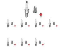 8 x Candela NGK per DAIHATSU, HONDA, SUZUKI, TOYOTA, VW 4 RUNNER