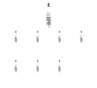 8 x Candela TOPRAN per AUDI, SEAT, SKODA, VW 100 C4, 80 B4, A2, A3