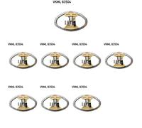 8 x Kit catena distribuzione SKF per CITRON, FIAT, FORD, MAZDA, PEUGEOT