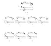 8 x Leva valvola KOLBENSCHMIDT per AUDI, CUPRA, SEAT, SKODA, VW A1, A3