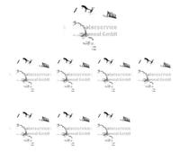 8 x Leva valvola KOLBENSCHMIDT per BMW 1 E81, 1 E82, 1 E87, 1 E88, 3