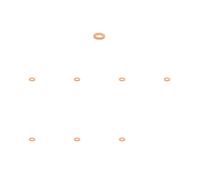 8 x Rondella dell'iniettore BOSCH per AUDI, CUPRA, GENESIS, JAGUAR, KIA