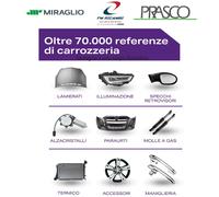 80/546B MIRAGLIO MIRAGLIO CP.BOCCOLE PORTA C/BLOC.DAILY 00