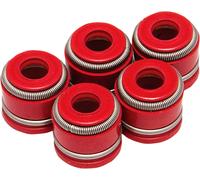 80-80710 VALVE SEAL 4.5MM VITON YZ 450 F SP 50TH ANN. LIMITED EDITION 2006