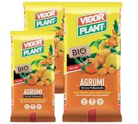 80 Litri Di Terriccio per Agrumi Professionale in Vaso e Piena Terra - Drenante e Aerato con Pomice, Torba Irlandese e Concime Organico Biologico - Substrato Specifico per Limoni, Aranci e Agrumi