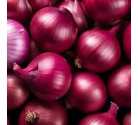 800 pz semi di cipolle invernali, balcone tappezzanti letto rialzato da giardino