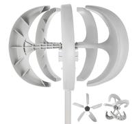 800W 3000W 12V 24V 48V Generatore per turbina eolica & MPPT Controller Power DIY