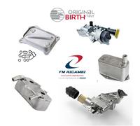 80753 ORIGINAL BIRTH RADIATORE OLIO FIAT BRAVO 07>