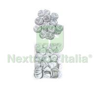 80BLISTER TAPPO A CORONA LITOGRAFATO PER UVA Ø MM.26,5 IN BUSTA DA PZ.100: