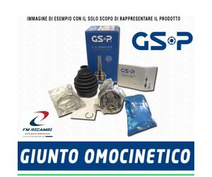 810076 FRECCIA GIUNTO OMOCINETICO CITROEN