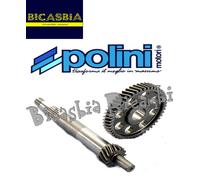 8138 - INGRANAGGI POLINI PRIMARI Z 15/49