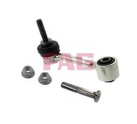 818019510 Asta/Puntone, Stabilizzatore Schaeffler Fag