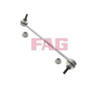 818028910 Asta/Puntone, Stabilizzatore Schaeffler Fag