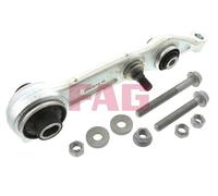 821 0213 10 FAG Braccio oscillante, Sospensione ruota per MERCEDES-BENZ