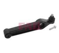 821 0289 10 FAG Braccio oscillante, Sospensione ruota per CHEVROLET,DAEWOO,OPEL,