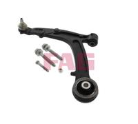 821 0392 10 FAG Braccio oscillante, Sospensione ruota per FIAT