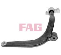 821 0419 10 FAG Braccio oscillante, Sospensione ruota per PEUGEOT