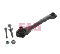 821 0929 10 FAG Asta/Puntone, Sospensione ruote per AUDI,SEAT,SKODA,VW