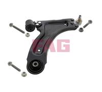 821029610 Braccio oscillante, Sospensione ruota Schaeffler Fag