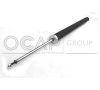 82481RU OCAP Ammortizzatore per FORD,VOLVO