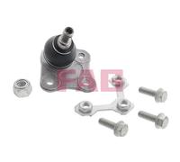 825 0172 10 FAG Giunto di supporto / guida per ,AUDI,SEAT,SKODA,VW,VW (FAW),VW (