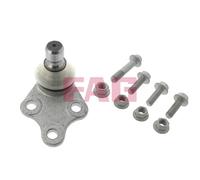 825025010 Giunto di supporto / guida Schaeffler Fag