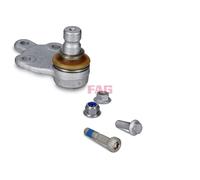 FAG 825 0454 10 Testina braccio oscillante