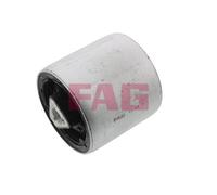 829 0324 10 FAG Supporto, Braccio oscillante per BMW,BMW (BRILLIANCE)