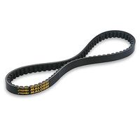 82964 - Cinghia di cintura X Special Belt 6116844