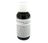 82C EPILOBIUM ANGUSTIF COMP 60